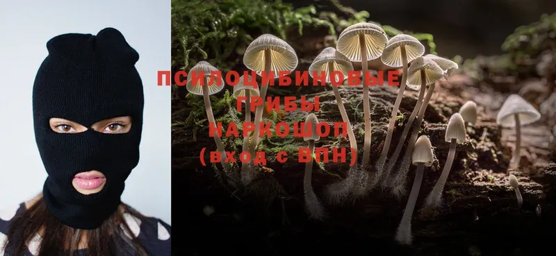 наркошоп  Пыталово  Галлюциногенные грибы Magic Shrooms 